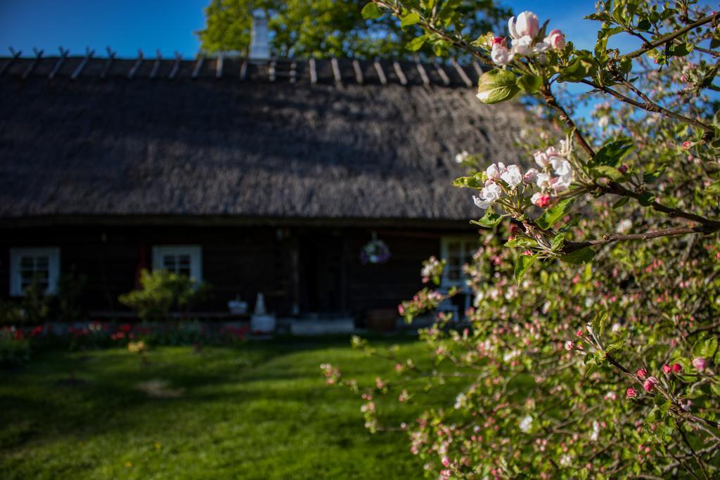 Kuusetuka Tourism Farm Villa Pahkla Bagian luar foto